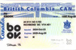 British Columbla (BC-SERVICES CARD) fake ids