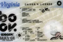 Virginia-new fake ids