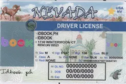 Nevada-old fake ids