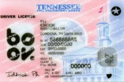 Tennessee-New fake ids